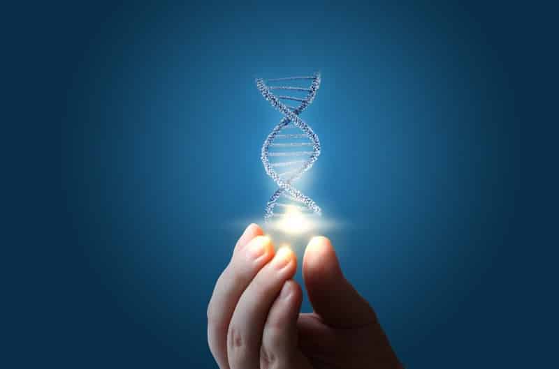 dna - shutterstock_576826987_Fotor