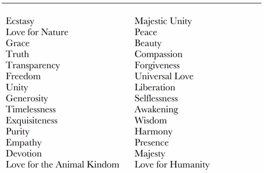 Consciousness Qualities