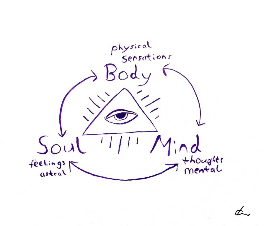 Body Mind Soul Interact