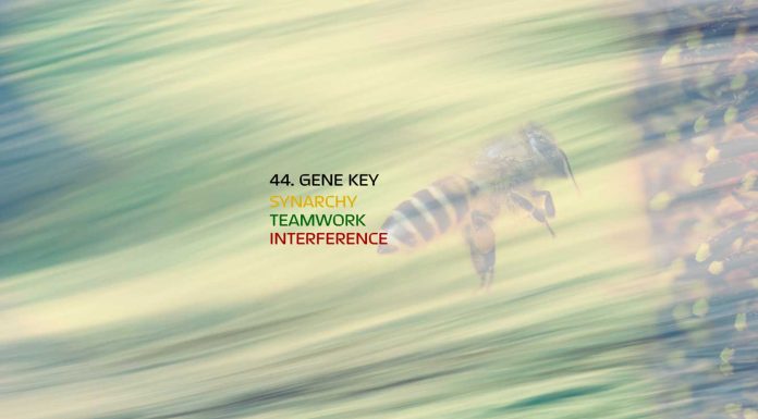 Gene Key 44
