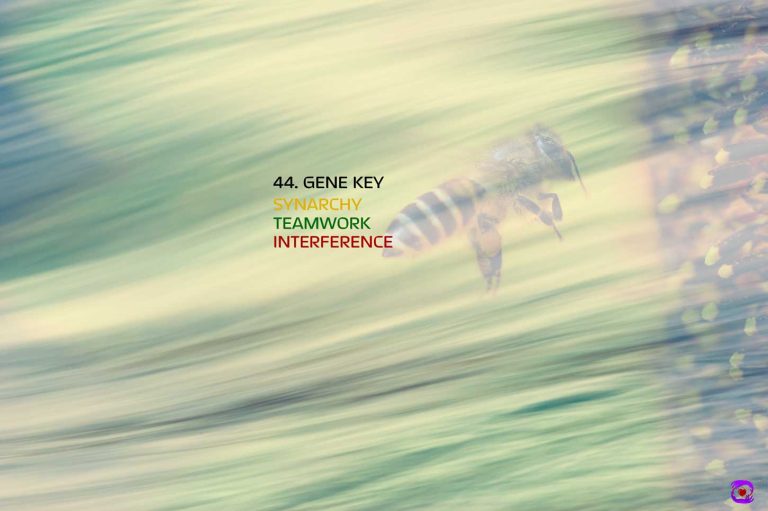 Gene Key 44 – From Interference to Synarchy (44th Gene Key)