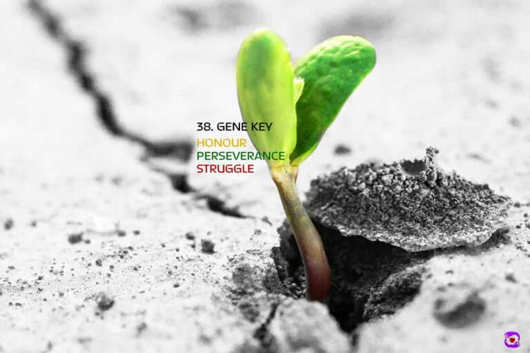 Gene Key 38 – From Struggle to Honour (38. Gene Key)